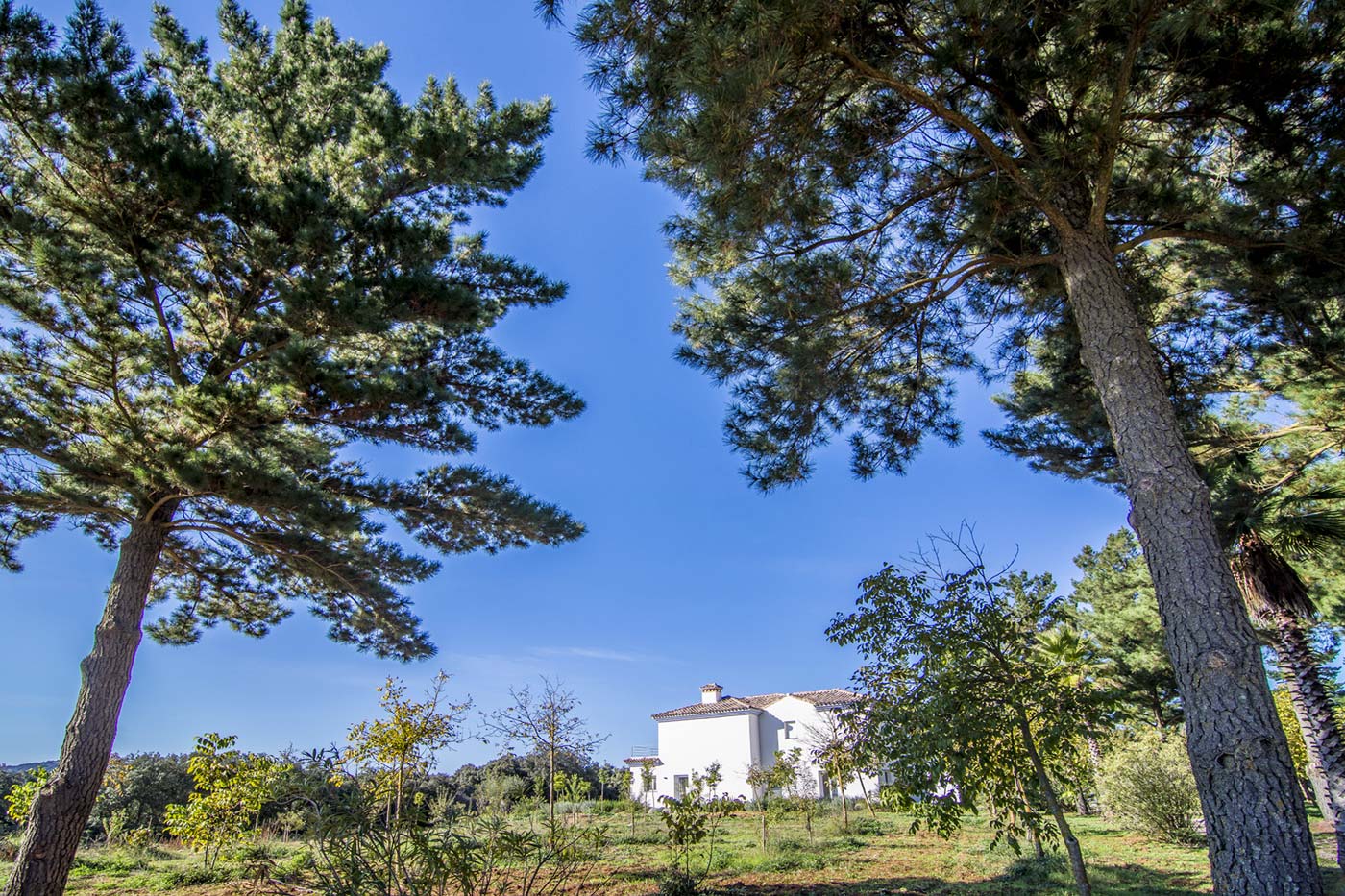 Your holiday villa is set in a large private finca